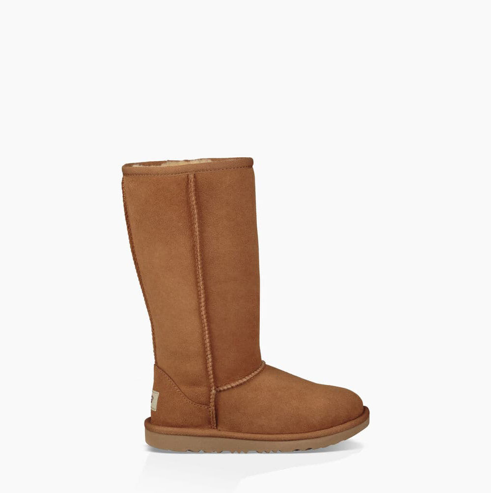 UGG Classic II Tall - Boots Barn - Brune (NO-K277)